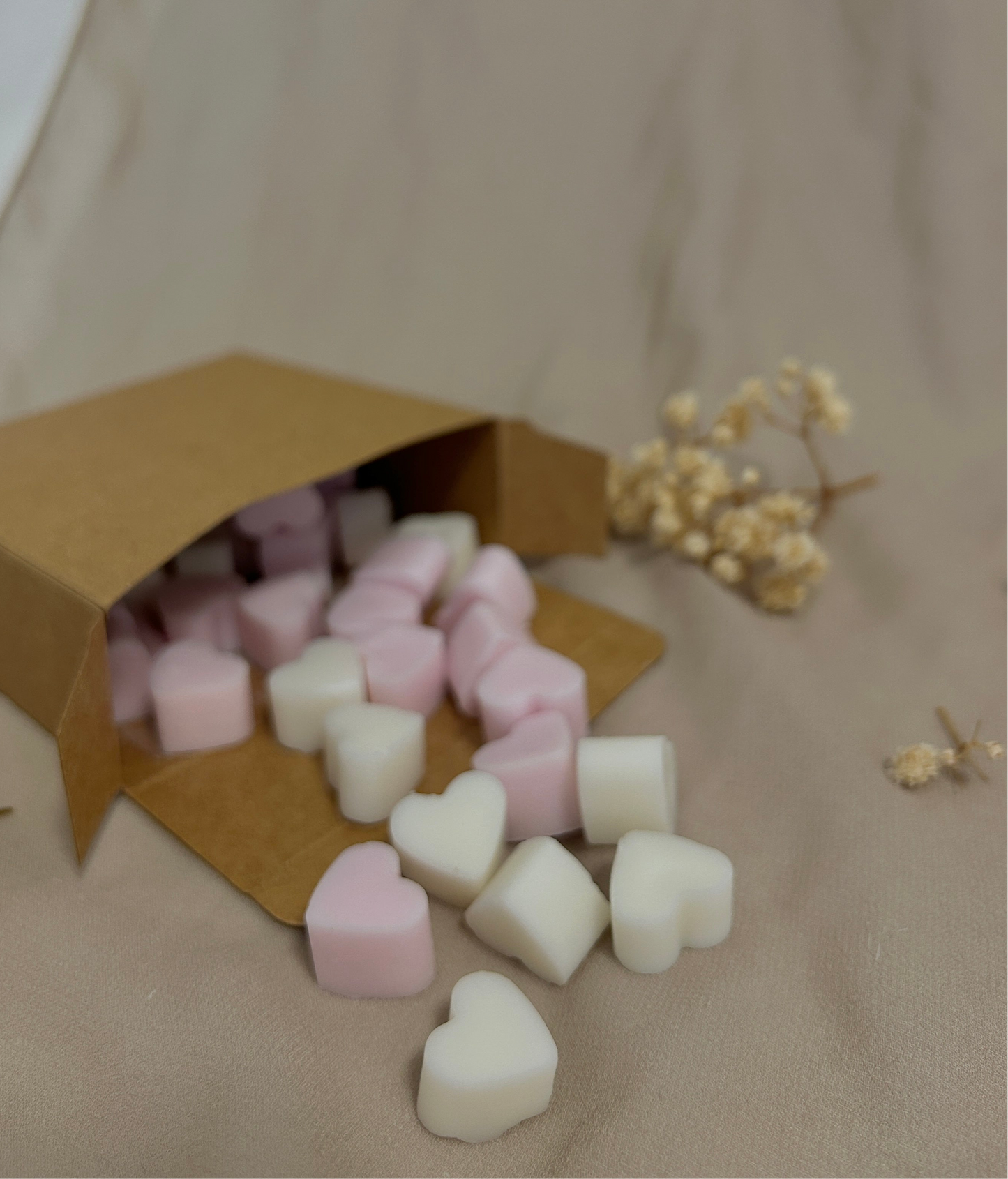 Wax Melts 50g - Ropa Limpia