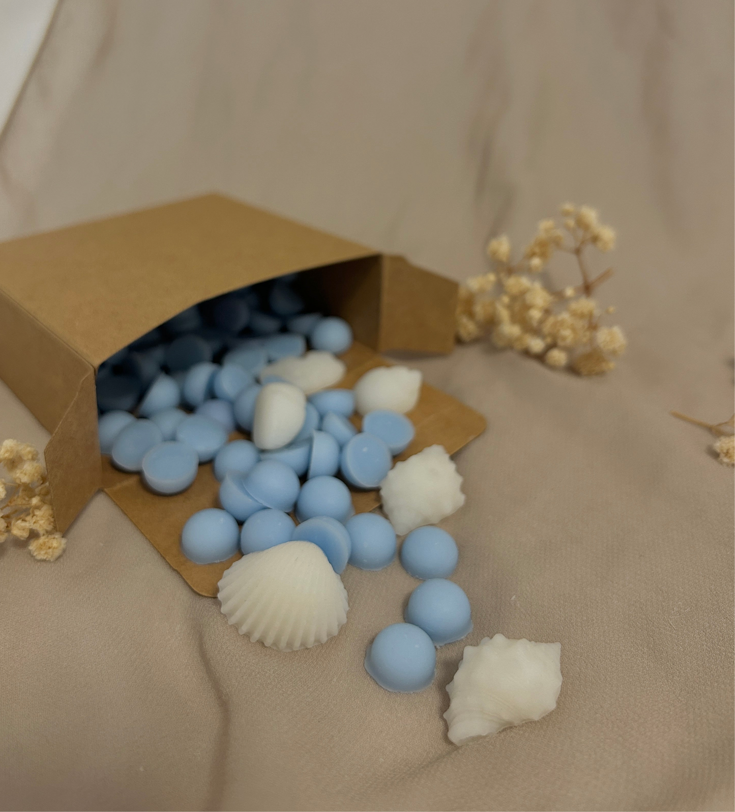 Wax Melts 50g - Brisa Marina