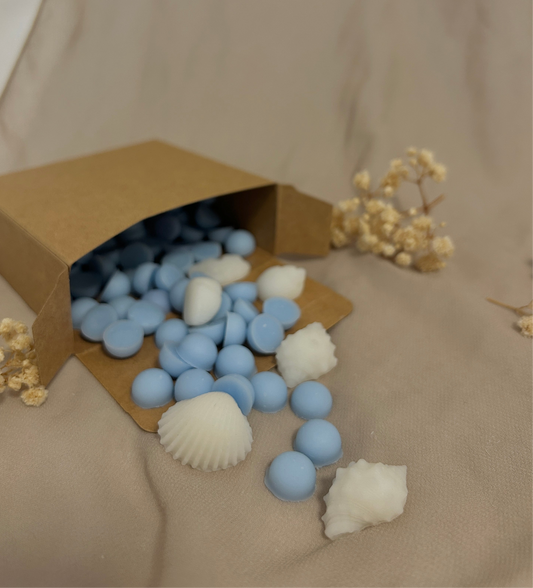 Wax Melts 50g - Brisa Marina